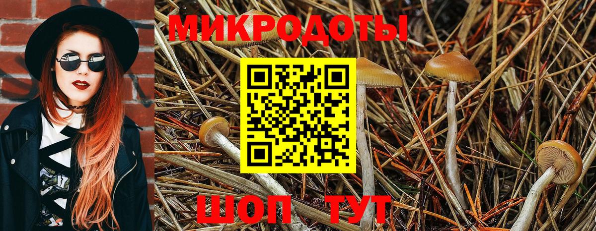 Кызыл  Псилоцибиновые грибы Magic Shrooms  Вход с VPN 
