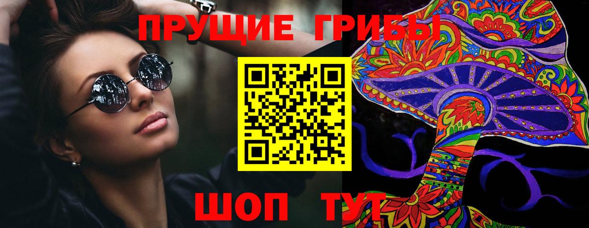 Псилоцибиновые грибы прущие грибы Кызыл